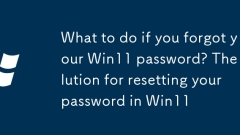 What to do if you forgot your Win11 password? The solution for resetting your password in Win11