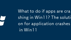 What to do if apps are crashing in Win11? The solution for application crashes in Win11