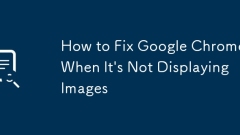 ???? ???? ?? ? Google Chrome? ???? ??