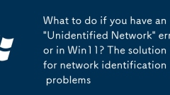 What to do if you have an 'Unidentified Network' error in Win11? The solution for network identification problems