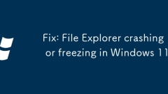 Fix: File Explorer crashing or freezing in Windows 11