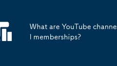 Was sind YouTube -Kanal -Mitgliedschaften?