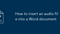 So fügen Sie eine Audiodatei in ein Word -Dokument ein