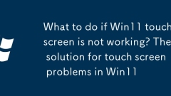 What to do if Win11 touch screen is not working? The solution for touch screen problems in Win11
