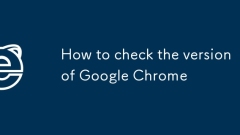如何检查Google Chrome的版本
