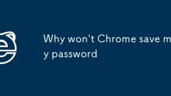 Chromeがパスワードを保存しないのはなぜですか
