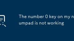 The number 0 key on my numpad is not working