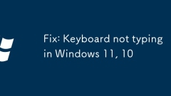 Fix: Keyboard not typing in Windows 11, 10