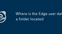 Edgeユーザーデータフォルダーはどこにありますか