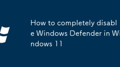 How to completely disable Windows Defender in Windows 11