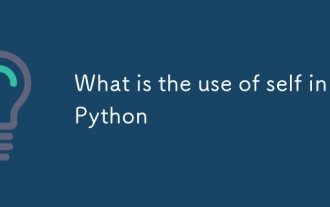 Was nutzt sich selbst in Python