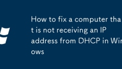How to fix a computer that is not receiving an IP address from DHCP in Windows
