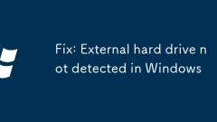 Fix: External hard drive not detected in Windows