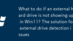 What to do if an external hard drive is not showing up in Win11? The solution for external drive detection issues