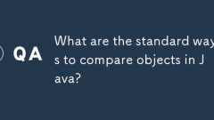 What are the standard ways to compare objects in Java?