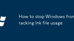 How to stop Windows from tracking lnk file usage