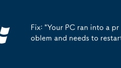 Fix: 'Your PC ran into a problem and needs to restart'
