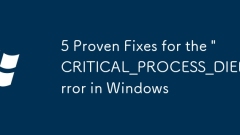 5 Proven Fixes for the 'CRITICAL_PROCESS_DIED' Error in Windows