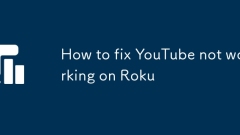 So reparieren Sie YouTube, der nicht auf Roku funktioniert