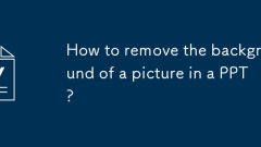 Wie entferne ich den Hintergrund eines Bildes in einem PPT?