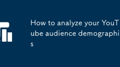 So analysieren Sie Ihre YouTube -Publikumsdemografie