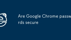 Are Google Chrome passwords secure