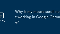 Why is my mouse scroll not working in Google Chrome?