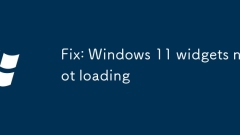Fix: Windows 11 widgets not loading