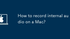 How to record internal audio on a Mac?