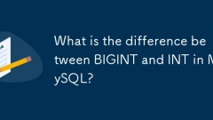 Quelle est la différence entre BigInt et INT dans MySQL?