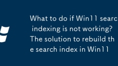 What to do if Win11 search indexing is not working? The solution to rebuild the search index in Win11