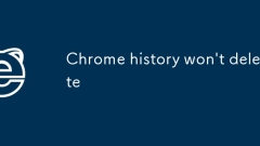 Chrome history won't delete