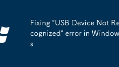Fixing 'USB Device Not Recognized' error in Windows