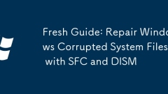 Fresh Guide: Repair Windows Corrupted System Files with SFC and DISM