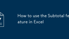 Cara Menggunakan Ciri Subtotal di Excel