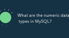Quels sont les types de données numériques dans MySQL?