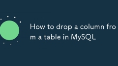 Comment laisser tomber une colonne d'une table dans MySQL