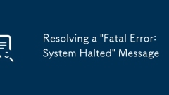 Resolving a 'Fatal Error: System Halted' Message