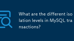 Quels sont les différents niveaux d'isolement dans les transactions MySQL?