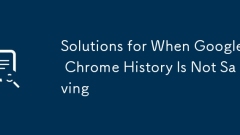 Solutions for When Google Chrome History Is Not Saving