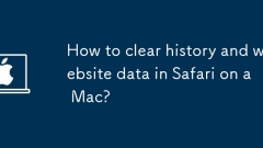 How to clear history and website data in Safari on a Mac?