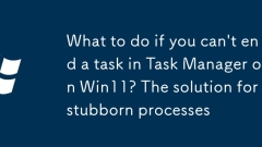 What to do if you can't end a task in Task Manager on Win11? The solution for stubborn processes