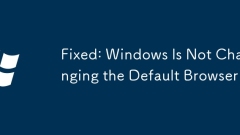 Fixed: Windows Is Not Changing the Default Browser