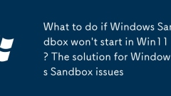 What to do if Windows Sandbox won't start in Win11? The solution for Windows Sandbox issues