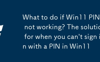 如果Win11 PIN不起作用該怎麼辦?解決方案何時無法在Win11中登錄PIN11