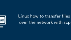 Linux how to transfer files over the network with scp