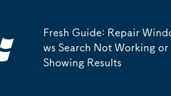 Fresh Guide: Repair Windows Search Not Working or Showing Results