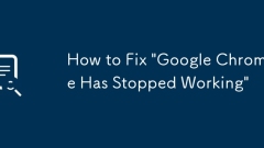 How to Fix 'Google Chrome Has Stopped Working'