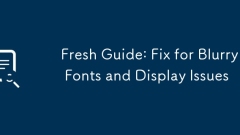 Fresh Guide: Fix for Blurry Fonts and Display Issues