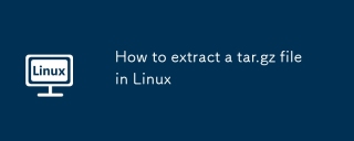 Linux에서 tar.gz 파일을 추출하는 방법